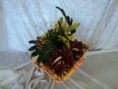 /album/bouquets-et-compositions/dsc00509-jpg/